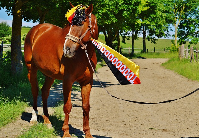 2米门将&“6国元帅”：两名法国球员随阿森纳U16夺冠