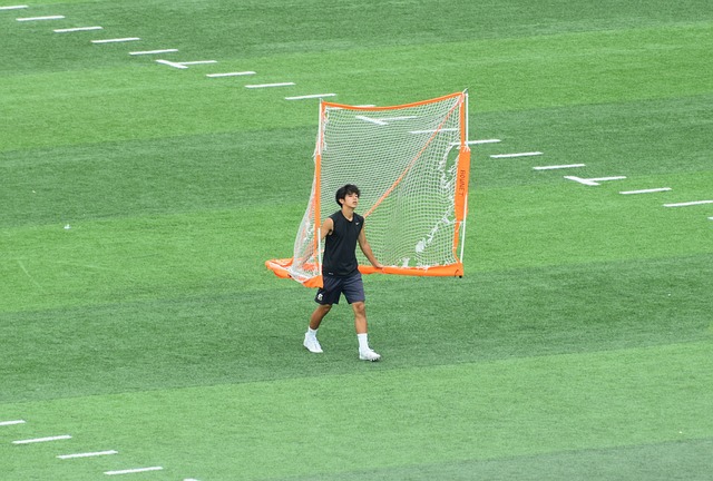 阿德利