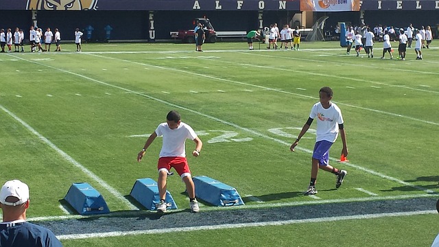 组织核心的 组织核心的