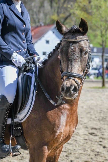 需要更多耐 需要更多耐