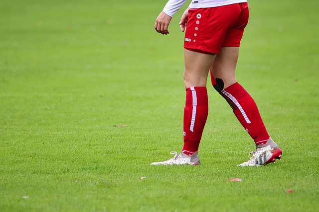 公布了最新 公布了最新