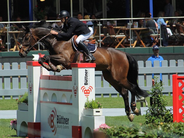 2002年今天 江蘇隊創下CBA單場投籃命中率紀錄87%.