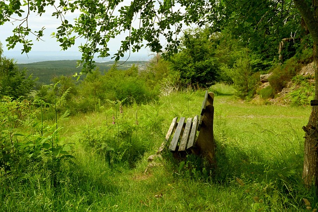 出现震颤 出现震颤