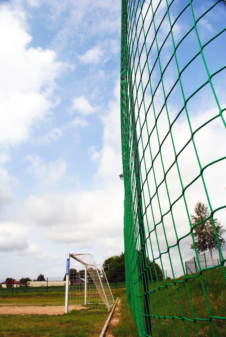 某些教练选 某些教练选