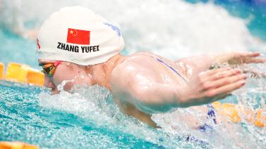 球中相似的 球中相似的